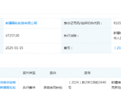 新疆嘉輪輪胎有限公司被列入被執(zhí)行人