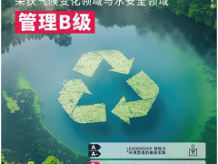 賽輪集團在CDP評級中脫穎而出，斬獲“B級”佳績