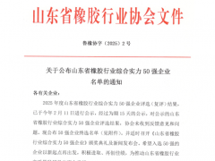 祥通橡塑再度榮膺山東省橡膠行業50強前列！