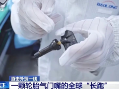 國內市場成底氣！保隆科技迎戰美國關稅有 “高招”