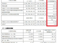 佳通輪胎，半年報 “增收不增利”！